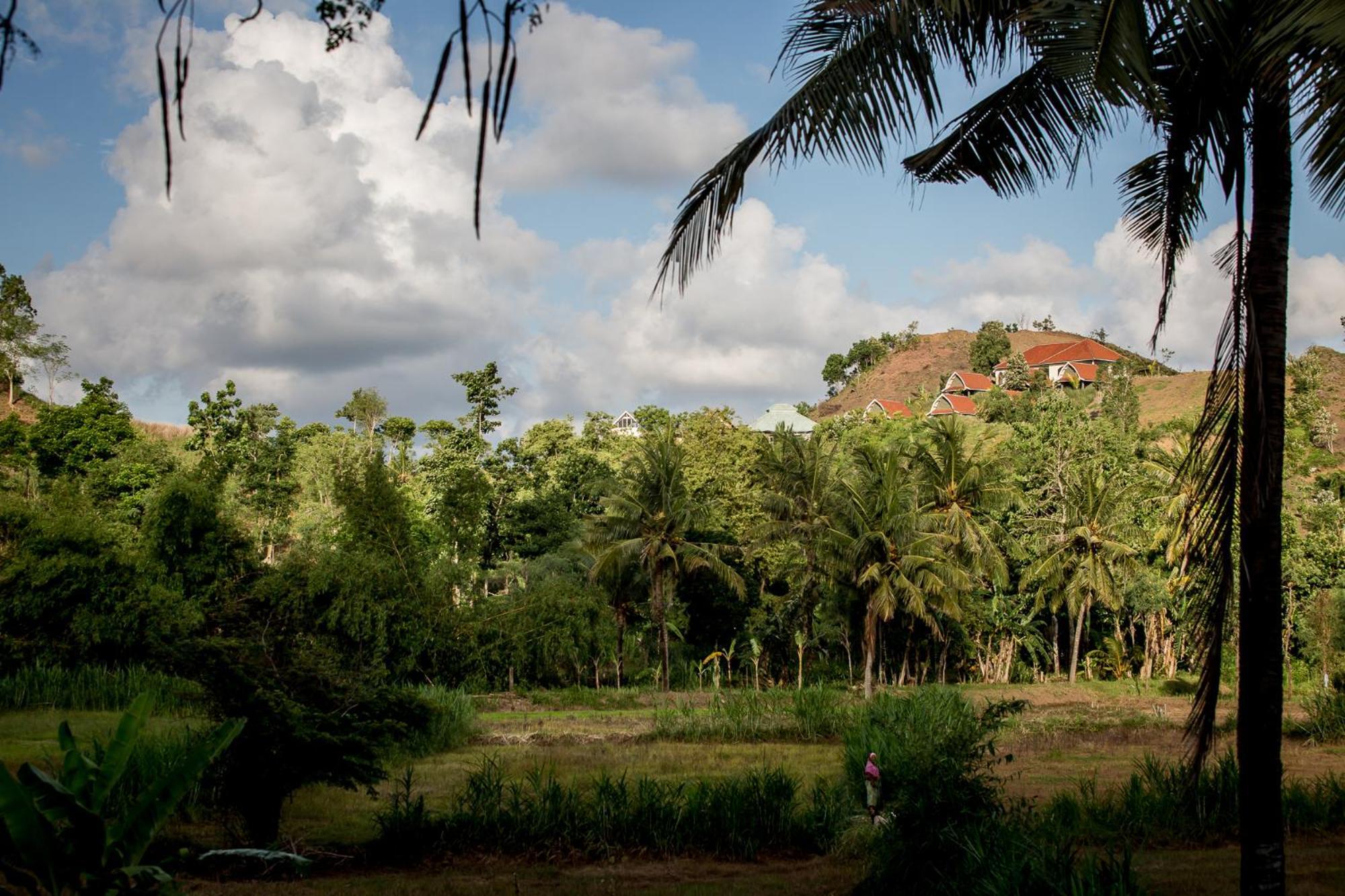 Drop In Surf Lodge Kuta  ภายนอก รูปภาพ