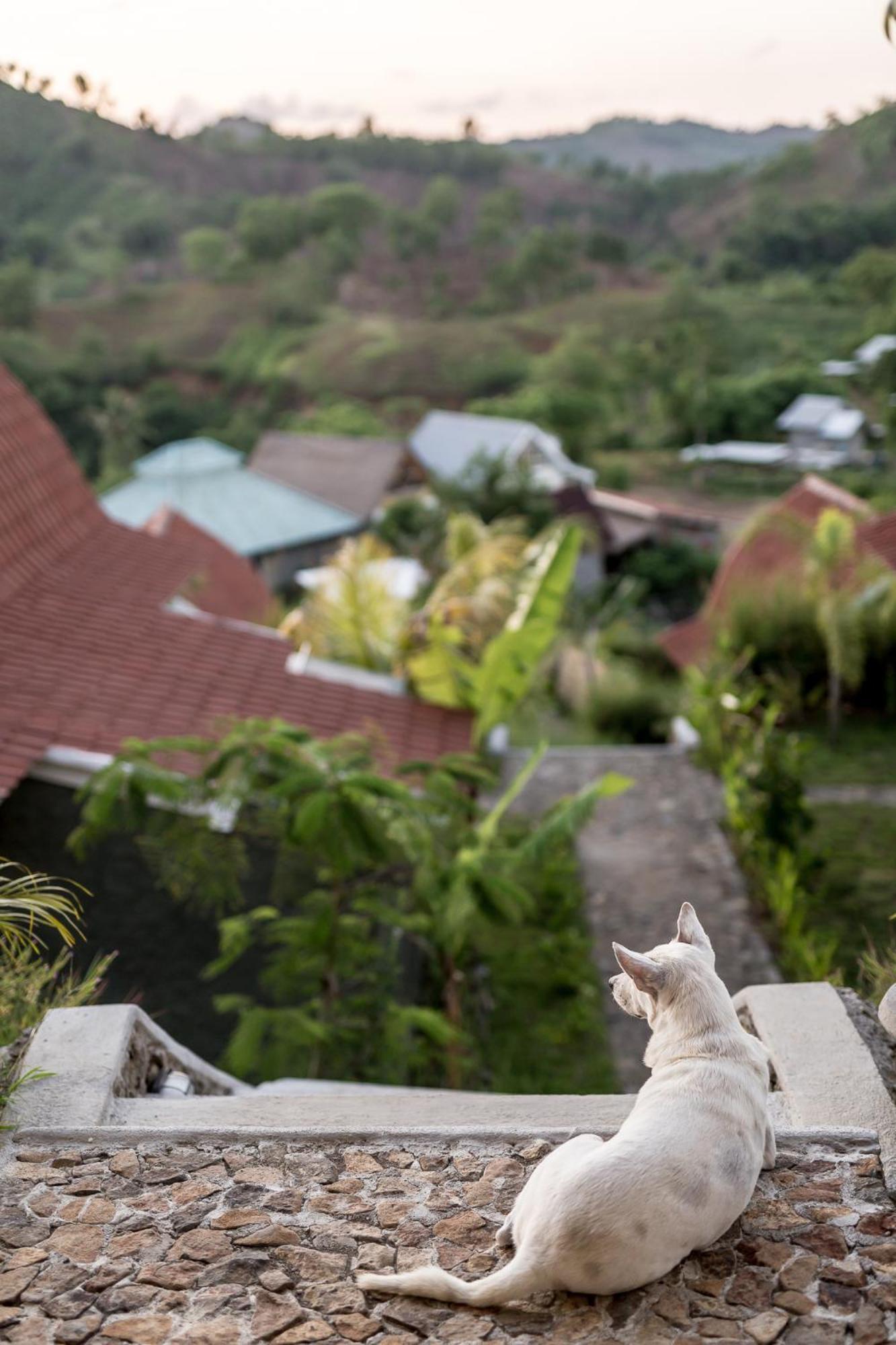 Drop In Surf Lodge Kuta  ภายนอก รูปภาพ